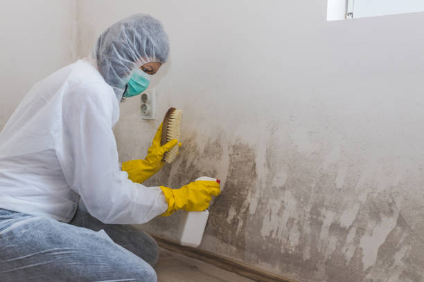 Mold Remediation for Rental Properties in Rosanky, TX