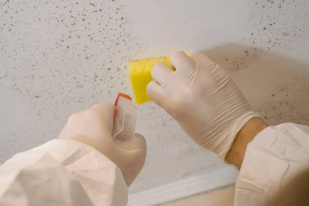 Dehumidification Services in Rosanky, TX