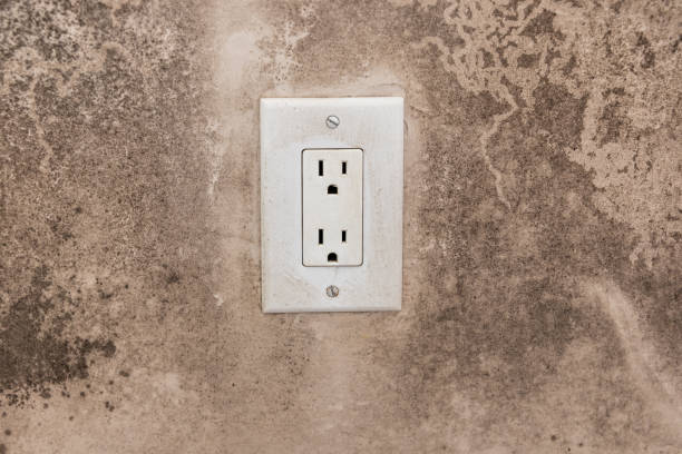 Best Environmental Consulting for Mold Prevention  in Rosanky, TX