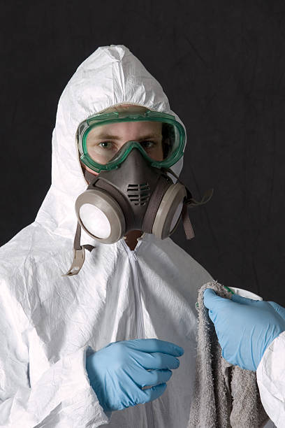 Professional Mold Removal in Rosanky, TX